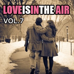 Love Is In The Air: "Making Love" Vol.7 / Compiled by Sasha D